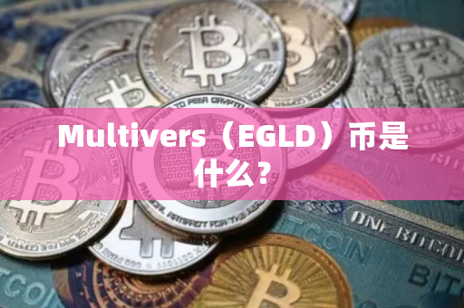 Multivers（EGLD）币是什么？