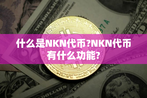 什么是NKN代币?NKN代币有什么功能?
