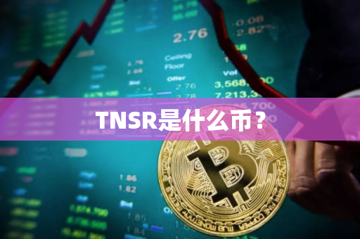 TNSR是什么币？