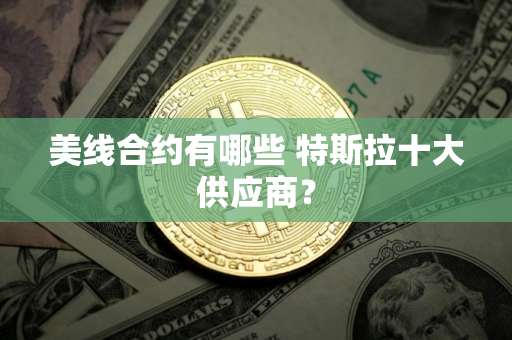 美线合约有哪些 特斯拉十大供应商? 美线合约有哪些 特斯拉十大供应商?