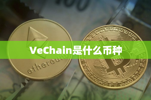 VeChain是什么币种