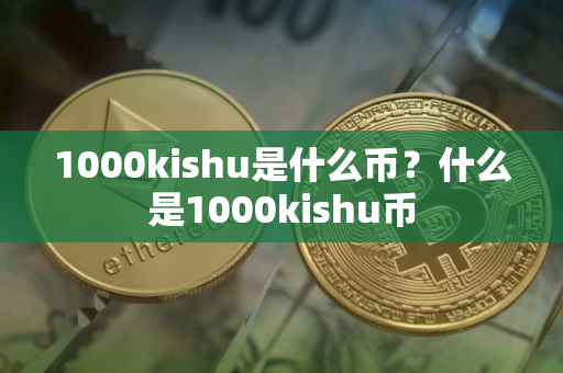 1000kishu是什么币？什么是1000kishu币