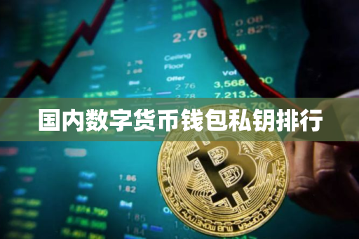 国内数字货币钱包私钥排行 国内数字货币钱包私钥排行