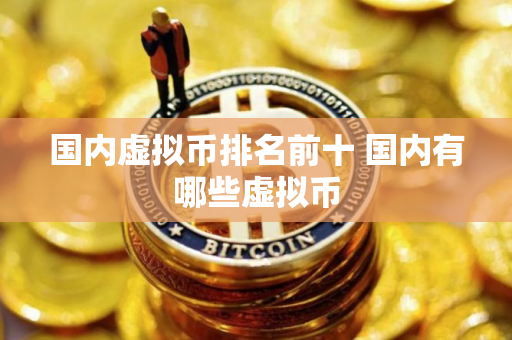 国内虚拟币排名前十 国内有哪些虚拟币