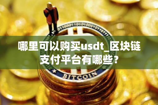 哪里可以购买usdt_区块链支付平台有哪些？