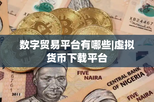 数字贸易平台有哪些|虚拟货币下载平台