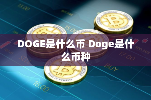 DOGE是什么币 Doge是什么币种