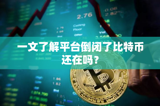 一文了解平台倒闭了比特币还在吗？