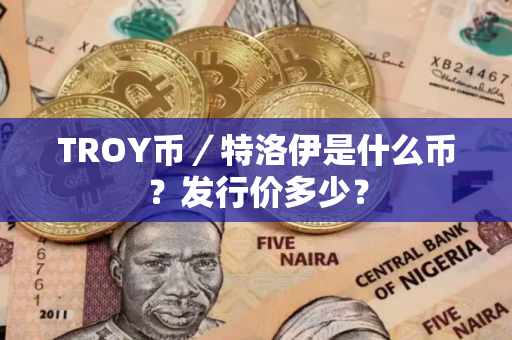 TROY币／特洛伊是什么币？发行价多少？