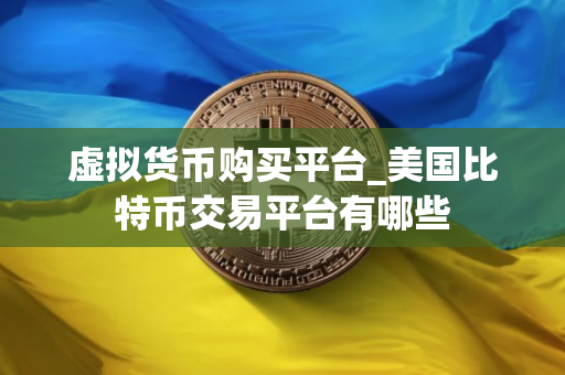 虚拟货币购买平台_美国比特币交易平台有哪些