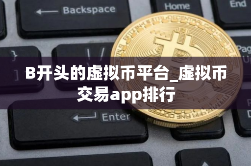 B开头的虚拟币平台_虚拟币交易app排行