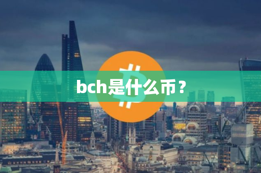 bch是什么币？