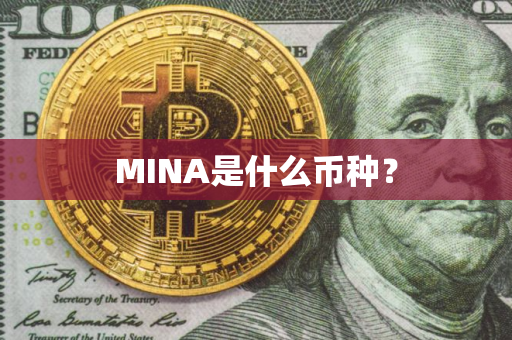 MINA是什么币种？