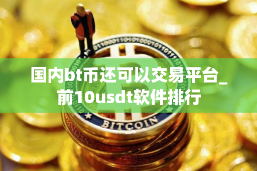 国内bt币还可以交易平台_前10usdt软件排行