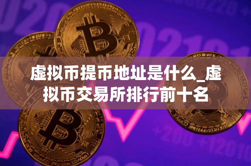 虚拟币提币地址是什么_虚拟币交易所排行前十名