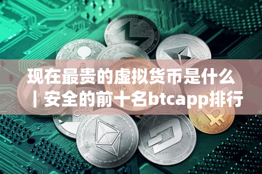 现在最贵的虚拟货币是什么｜安全的前十名btcapp排行榜