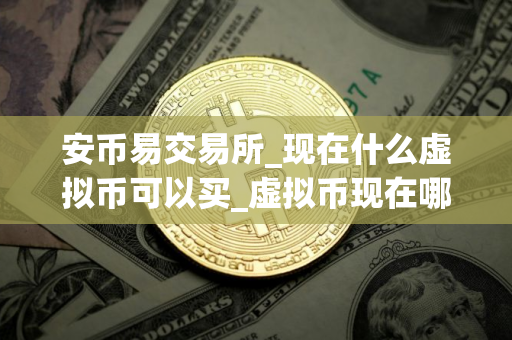 安币易交易所_现在什么虚拟币可以买_虚拟币现在哪个可以玩