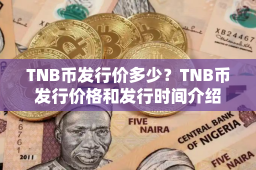 TNB币发行价多少？TNB币发行价格和发行时间介绍