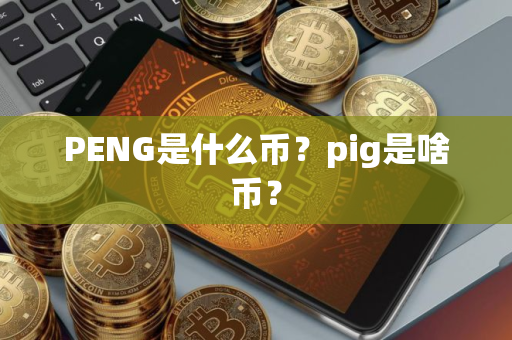 PENG是什么币？pig是啥币？