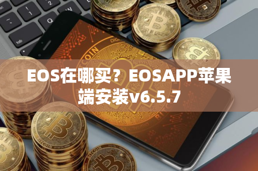 EOS在哪买？EOSAPP苹果端安装v6.5.7