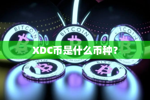 XDC币是什么币种？