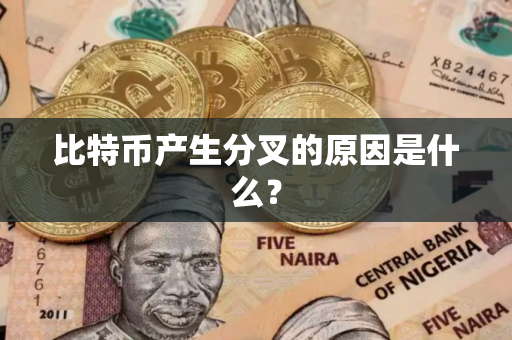 比特币产生分叉的原因是什么？