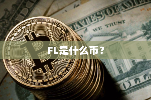 FL是什么币？
