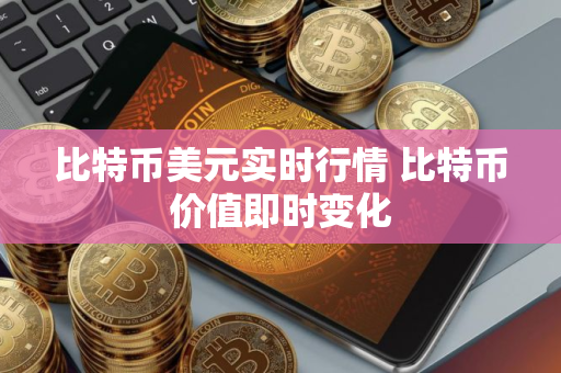 比特币美元实时行情 比特币价值即时变化