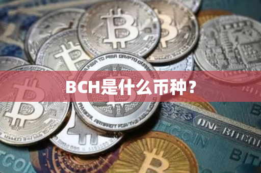 BCH是什么币种？