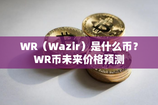 WR（Wazir）是什么币？WR币未来价格预测