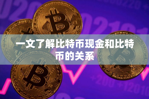 一文了解比特币现金和比特币的关系