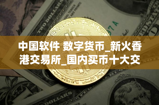 中国软件 数字货币_新火香港交易所_国内买币十大交易平台