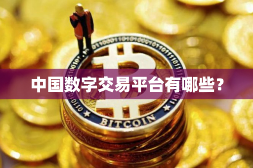 中国数字交易平台有哪些？