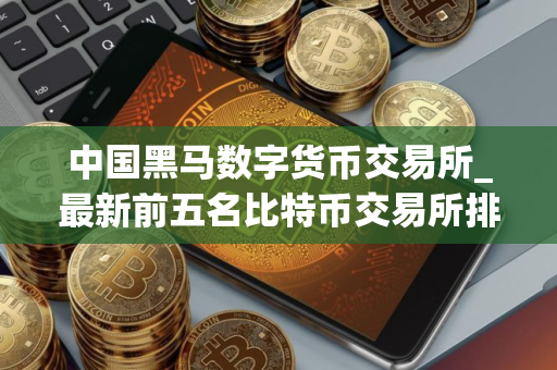 中国黑马数字货币交易所_最新前五名比特币交易所排名合集