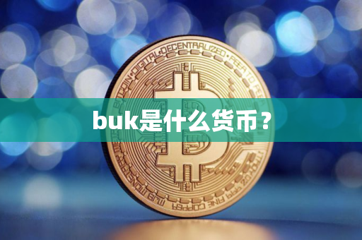 buk是什么货币? buk是什么货币?
