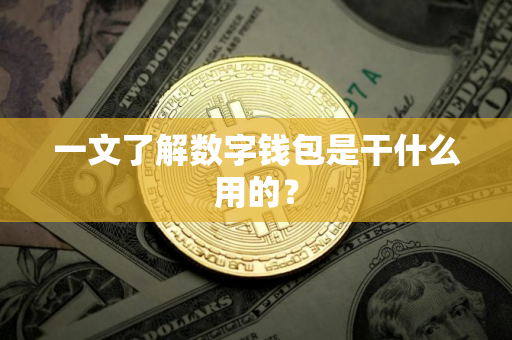 一文了解数字钱包是干什么用的？