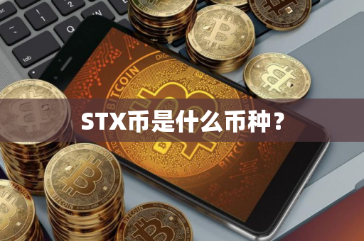 STX币是什么币种? STX币是什么币种?