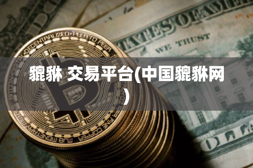 貔貅 交易平台(中国貔貅网)