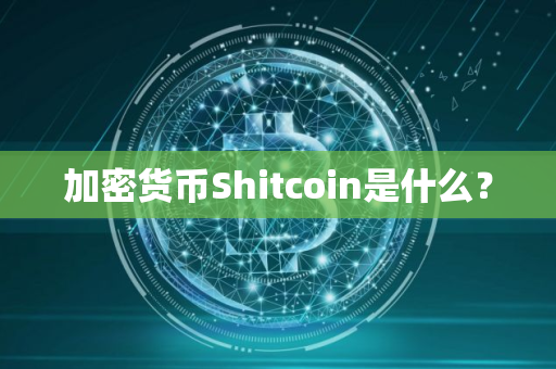 加密货币Shitcoin是什么？