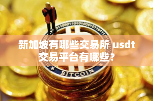 新加坡有哪些交易所 usdt交易平台有哪些？