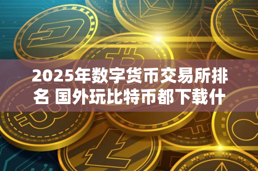 2025年数字货币交易所排名 国外玩比特币都下载什么软件