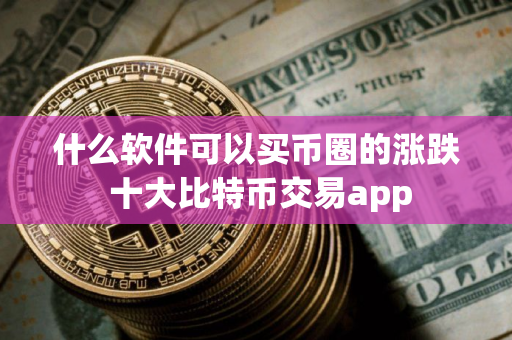 什么软件可以买币圈的涨跌 十大比特币交易app
