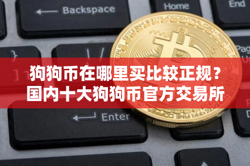 狗狗币在哪里买比较正规？国内十大狗狗币官方交易所一览