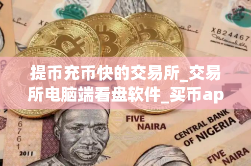 提币充币快的交易所_交易所电脑端看盘软件_买币app排行榜前十名
