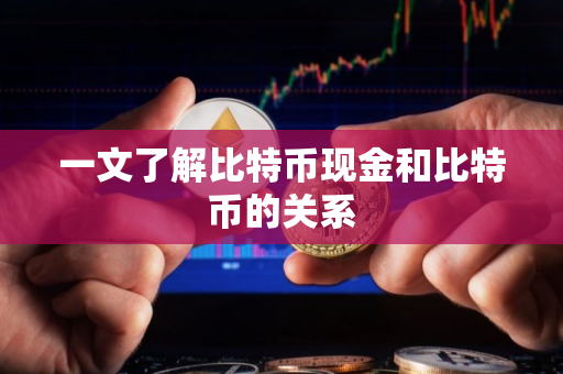一文了解比特币现金和比特币的关系