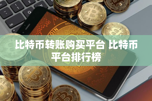比特币转账购买平台 比特币平台排行榜
