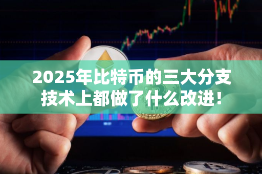 2025年比特币的三大分支技术上都做了什么改进！