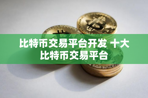 比特币交易平台开发 十大比特币交易平台