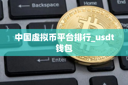 中国虚拟币平台排行_usdt钱包