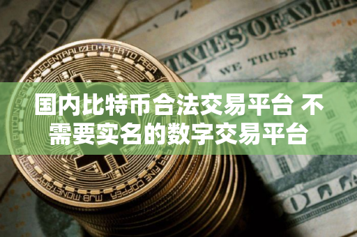 国内比特币合法交易平台 不需要实名的数字交易平台